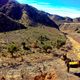 Image for article titled Found: California’s Lost Bighorn Sheep
